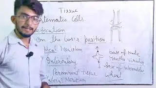 Type of tissues // Meristematic Tissues // Growth of Plant body // By Studistic fellas