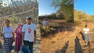 NOS FUIMOS AL CAMPO ALAS CIRGUELAS Y ALOS PINZANES#prietalinda #tendencias #campo