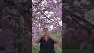 🌸 Experience SERENITY in Sakura Garden with Reiki