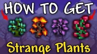 How to Get Strange Plants in Terraria 1.4.4.9 | Strange plants terraria