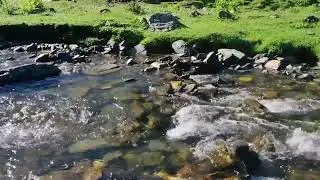Tranquil Mountain Stream | Pristine Nature Soundscape | 1+ Hour Loop