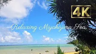  Miyakojima Okinawa 4K｢美しい風景　30分リラックスタイム｣作業用BGM 