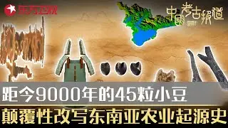 距今9000年前的45粒小豆曝出惊天秘密！颠覆性改写东南亚农业起源史！#中国考古报道 FULL