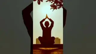 Mind purification #calming #relaxation #meditation #mindrelaxing #exellence