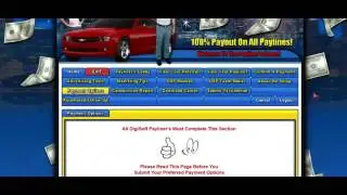 ВСЁ О КОМПАНИИ Digisoft PAYLNE  подтверждение выплат