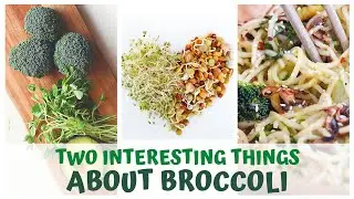 TWO INTERESTING THINGS ABOUT BROCCOLI &bull; SPROUTING & SULPHORAPHANE