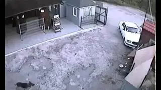 Car Crash against Buildin