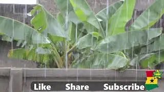 10 minutes of rain Kumasi ASMR soothing nature sounds from Africa Ghana