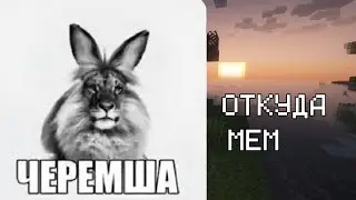 Черемша-ОТКУДА МЕМ + Post this мяу мяу every week-ОТКУДА МЕМЫ