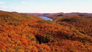 Superior Fall Colour Tour