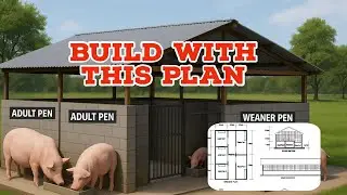 &ldquo;Don&rsquo;t Build a Pig House Until You See This Genius Plan!&rdquo;