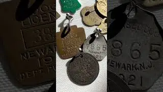 I Found A Dog Tag From 1910!  |  Beautiful Vintage Dog Tag Collection