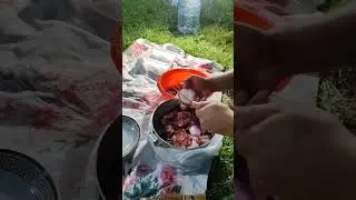 Electricity in nature