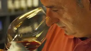 Weinland Spanien: Rioja, Sherry und Cava!