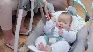Mastela Deluxe Portable Swing