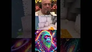Rogan THINKS he knows best #beastgang #jrefans #jree #mrbeast #duet #funny #halo #joerogan