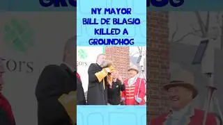 Мэр Нью-Йорка Билл де Блазио убил сурка!