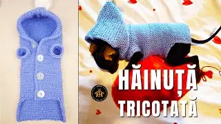 Cum tricotam haina pentru caine/pisica - hăinuța pentru prietenii necuvantatori