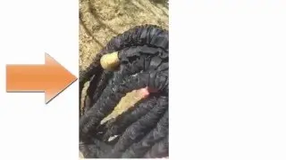 Review of Gorilla 100 foot long expandable garden hose