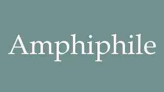 How to Pronounce ''Amphiphile'' Correctly in French