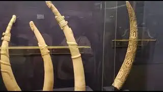 /Ivory carvings gallery/Ivory room salarjung museum Hyderabad/