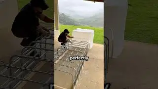 Turning Cheap Tanks Into Something Genius