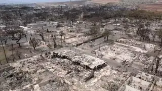 72-year-old Northern CA woman ID'd as victim killed in devastating Maui wildfires, officials say