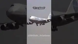 It&rsquo;s A Bird It&rsquo;s A Plane 😅 #shorts #airplane #aviation #airline #funny #viral #plane #birds