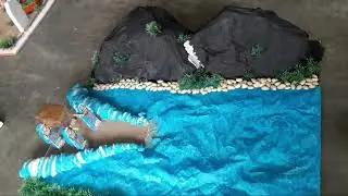 Joshua Crossing tha Jordan River/Bible Story Model/Kids Activities