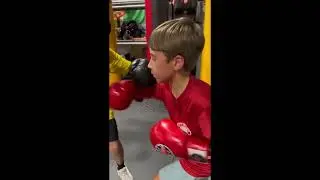 Knockout Training: Best Boxing Gyms for Kids in Florida