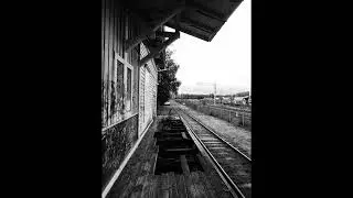 Photos taken with Leica D-Lux (Typ 109) // No talk