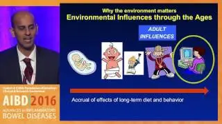 What are the roles of environmental factors in the pathogenesis of IBD