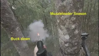 2 Public Land Bucks during Muzzleloader Season. Primer FAIL!