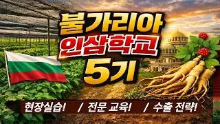 Ginseng School 5th session 2020