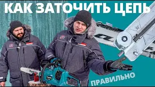 Как правильно заточить цепь на пиле