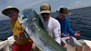 MOSTER MAHI MAHI and SAILFISH PANAMA