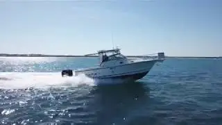 Bayliner Trophy 2902 FOR SALE at Oceaneer Marine