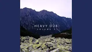 Experience Dub