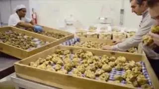 Why Truffles Are So Expensive