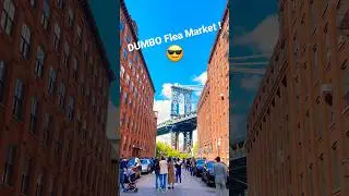 Busy ! DUMBO Brooklyn Flea is undoubtedly one of the most popular flea markets in #nyc  #shorts #fun