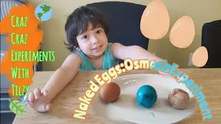 Experiment # 6: Naked Eggs experiment | kid experiment #scienceexperiment  #stemeducation