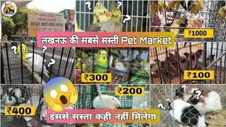 Rs.50 🤯 se staring. | Lucknow ki sabse Sasti Pet market. #Nakhas. #vlog 2