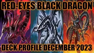 ПРОФИЛЬ КОЛОДЫ RED-EYES BLACK DRAGON (ДЕКАБРЬ 2023) YUGIOH!