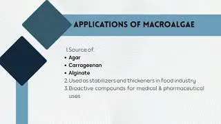 MARINE BIOTECHNOLOGY//SQ31103//MINI PROJECT VIDEO