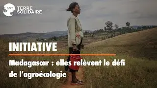 À Madagascar, elles relèvent le défi de l'agroécologie.