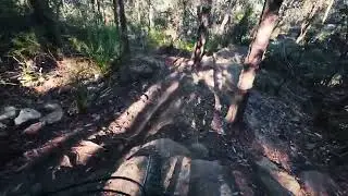Mt Narra - clean line through King Brown Alley loam section