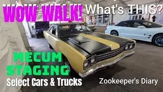LET'S GO! WOW WALK Exclusive Look Pre-staging MUSCLE & CLASSIC CARS Mecum Kissimmee #automobile #car