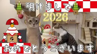 2026年今年もどうぞよろしくお願いいたします
