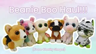Beanie Boo Haul!!!  | Charity Shop Haul |