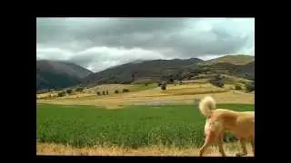 sivas ili suşehri ilçesi aksu köyü 2012 yılı tanıtım belgeseli 1  bölüm
